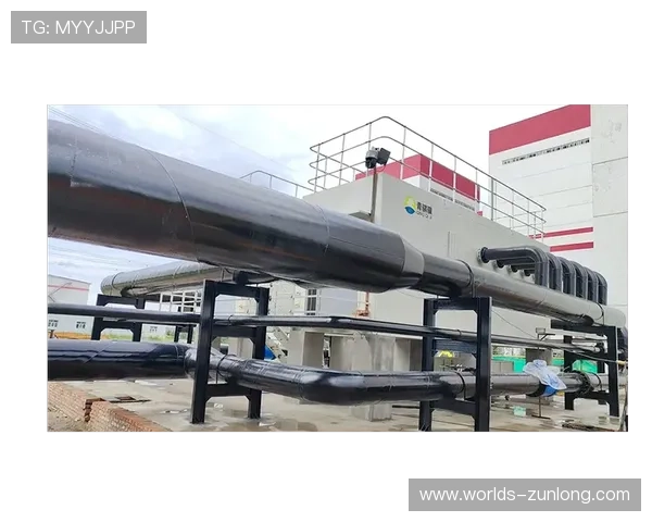 探索尊龙凯时z6最新版本下载中的热门功能与玩法细节